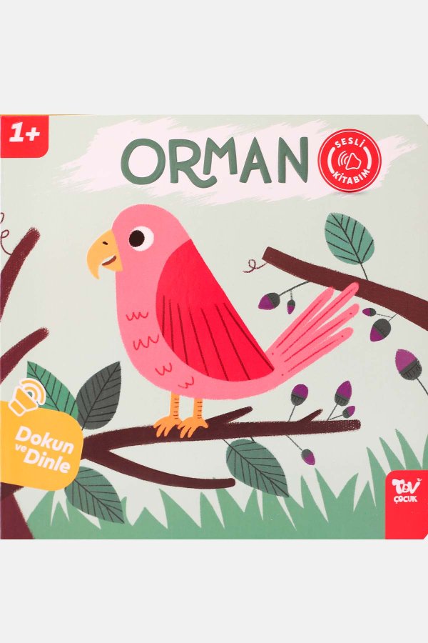 Dokun Ve Dinle Sesli Kitabım Orman 