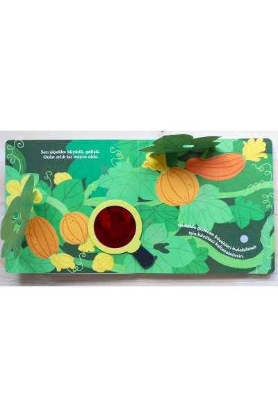 Hareketli Kitap 3d Küçük Kaşif Tohumun Yolculuğu 