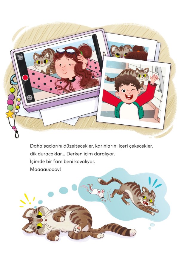 İstanbulun Acayip Hayvanları Taksimde Bir Kedi 
