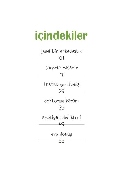 Perdenin Ardındaki Dostluk 