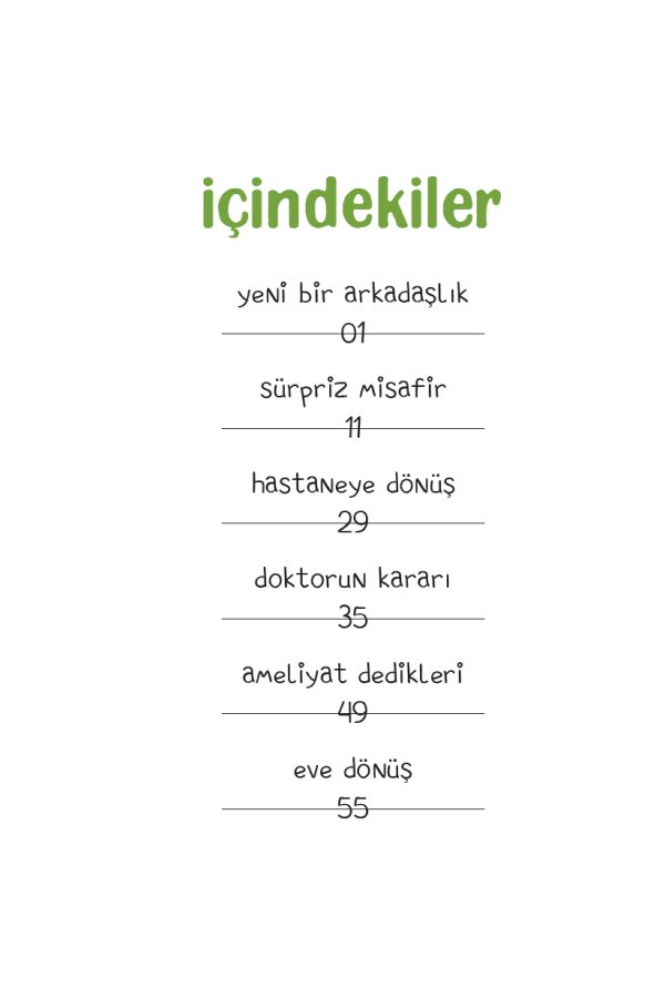Perdenin Ardındaki Dostluk 