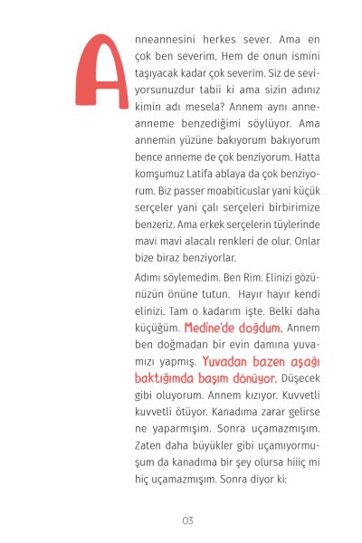 Meraklı Serçe 