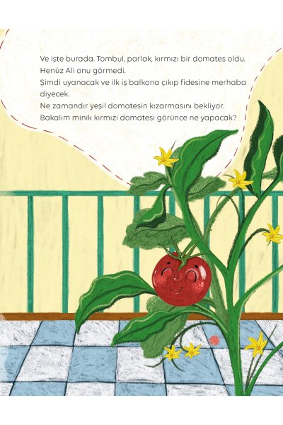 Hadi Büyü Bebek Domates Keşfet Sev Koru Doğada Bir Gün 5 