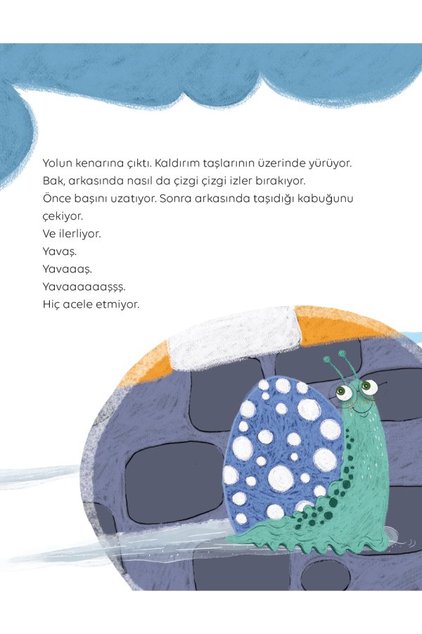 Nereye Gidiyorsun Minik Salyangoz Keşfet Sev Koru Doğada Bir Gün 6 