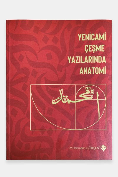 Yenicami Çeşme Yazılarında Anatomi 