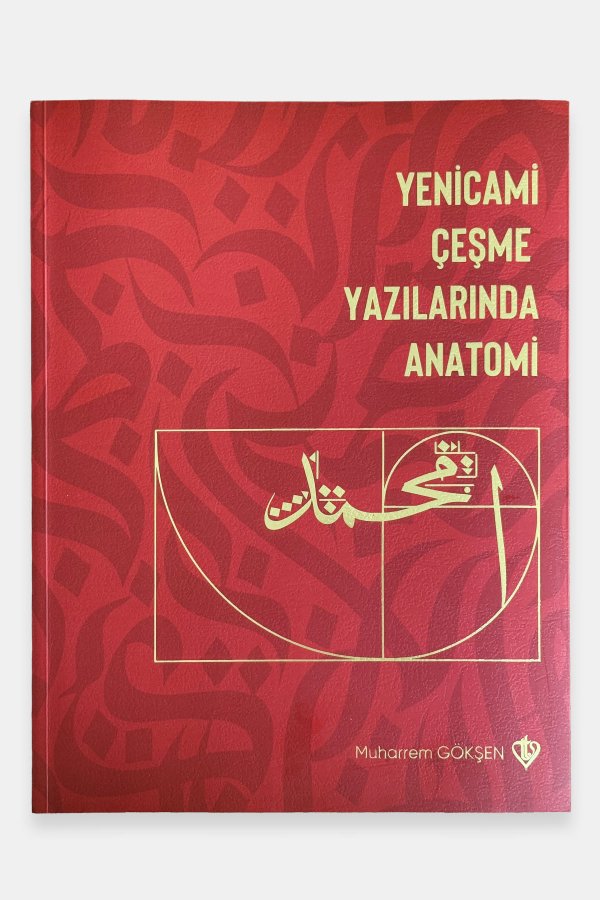 Yenicami Çeşme Yazılarında Anatomi 