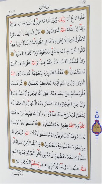Kuranı Kerim Hatim Cüzü Orta Boy (bilgisayar Hatlı 30 Cüz Renk Çantalı) 